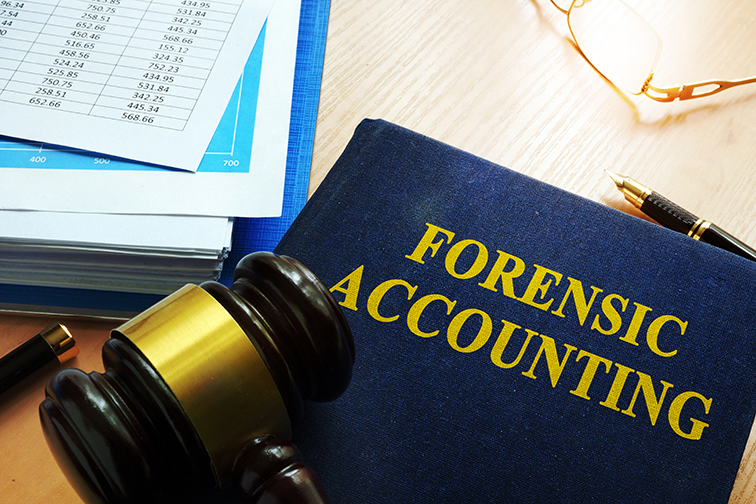 forensic accounting image